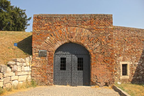 fort doors